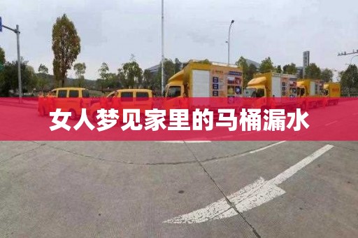 女人梦见家里的马桶漏水