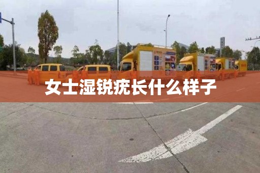 女士湿锐疣长什么样子