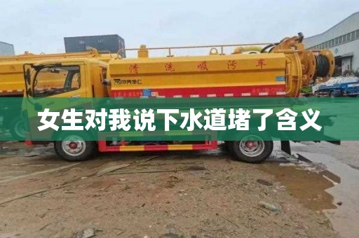 女生对我说下水道堵了含义
