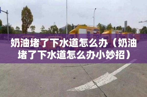 奶油堵了下水道怎么办（奶油堵了下水道怎么办小妙招）