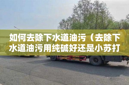 如何去除下水道油污（去除下水道油污用纯碱好还是小苏打好）