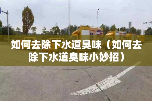 如何去除下水道臭味（如何去除下水道臭味小妙招）