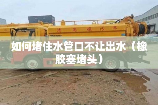 如何堵住水管口不让出水（橡胶塞堵头）