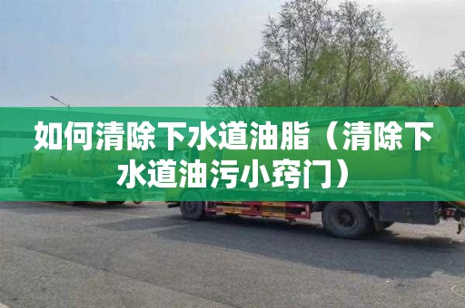 如何清除下水道油脂（清除下水道油污小窍门）