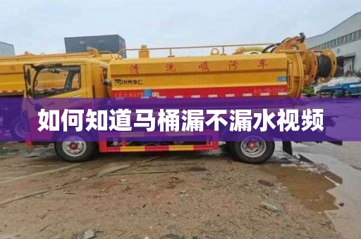 如何知道马桶漏不漏水视频