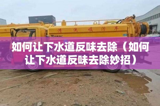 如何让下水道反味去除（如何让下水道反味去除妙招）