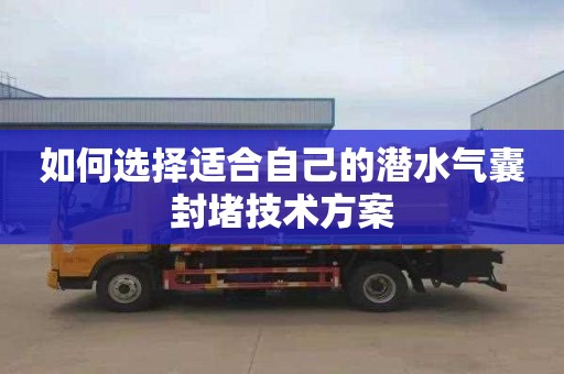如何选择适合自己的潜水气囊封堵技术方案