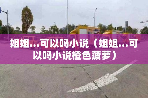 姐姐…可以吗小说（姐姐…可以吗小说橙色菠萝）