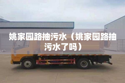 姚家园路抽污水（姚家园路抽污水了吗）