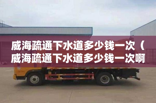 威海疏通下水道多少钱一次（威海疏通下水道多少钱一次啊）