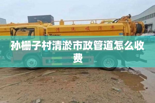 孙栅子村清淤市政管道怎么收费