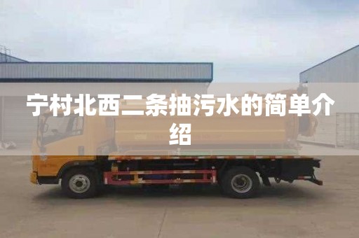 宁村北西二条抽污水的简单介绍