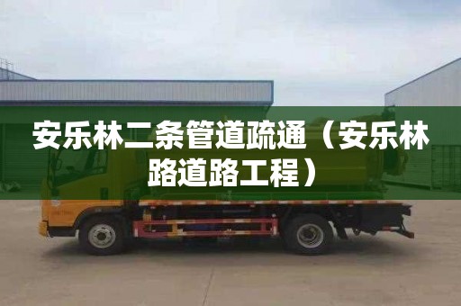 安乐林二条管道疏通（安乐林路道路工程）