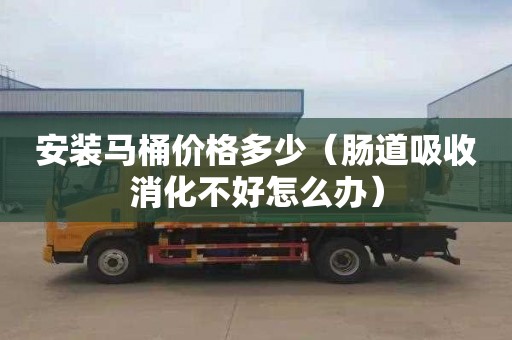 安装马桶价格多少（肠道吸收消化不好怎么办）