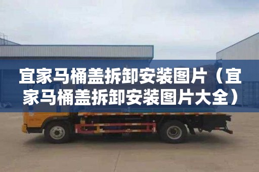宜家马桶盖拆卸安装图片（宜家马桶盖拆卸安装图片大全）