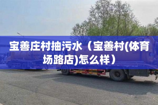 宝善庄村抽污水（宝善村(体育场路店)怎么样）