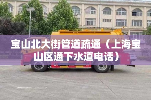 宝山北大街管道疏通（上海宝山区通下水道电话）