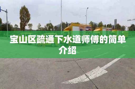 宝山区疏通下水道师傅的简单介绍
