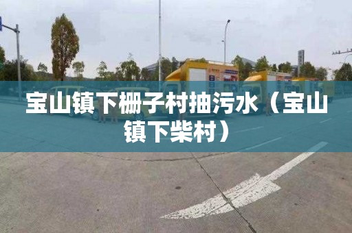 宝山镇下栅子村抽污水（宝山镇下柴村）