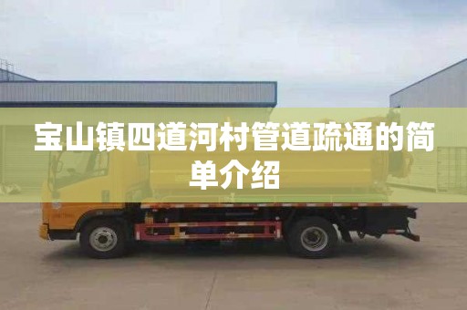 宝山镇四道河村管道疏通的简单介绍
