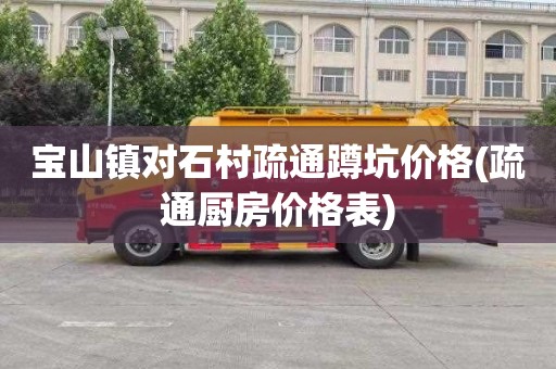 宝山镇对石村疏通蹲坑价格(疏通厨房价格表)