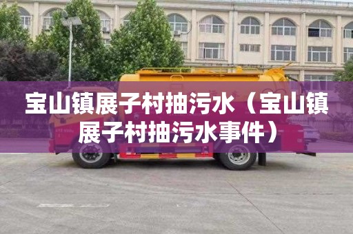 宝山镇展子村抽污水（宝山镇展子村抽污水事件）