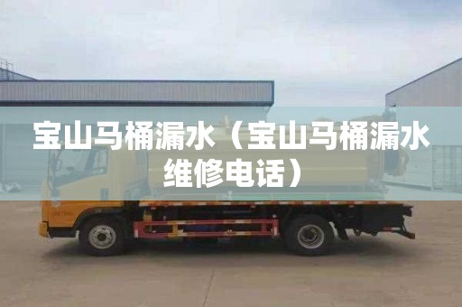 宝山马桶漏水（宝山马桶漏水维修电话）