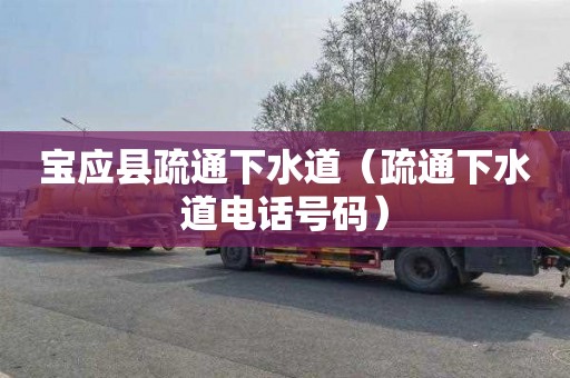 宝应县疏通下水道（疏通下水道电话号码）