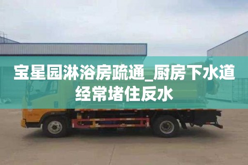 宝星园淋浴房疏通_厨房下水道经常堵住反水