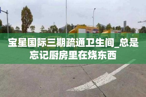 宝星国际三期疏通卫生间_总是忘记厨房里在烧东西