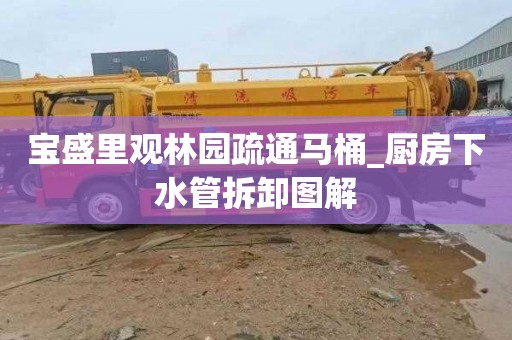 宝盛里观林园疏通马桶_厨房下水管拆卸图解