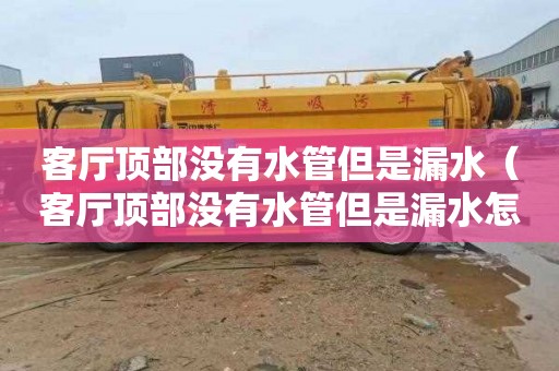客厅顶部没有水管但是漏水（客厅顶部没有水管但是漏水怎么办）