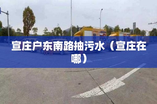 宣庄户东南路抽污水（宣庄在哪）