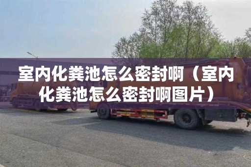室内化粪池怎么密封啊（室内化粪池怎么密封啊图片）