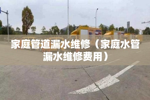 家庭管道漏水维修（家庭水管漏水维修费用）