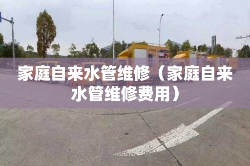 家庭自来水管维修（家庭自来水管维修费用）