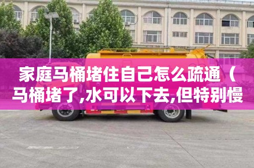 家庭马桶堵住自己怎么疏通（马桶堵了,水可以下去,但特别慢）
