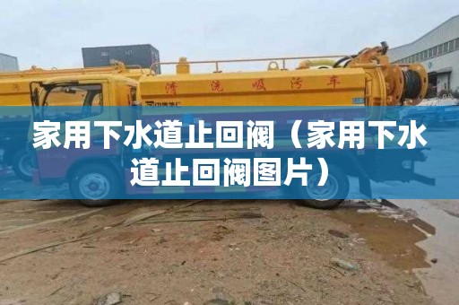 家用下水道止回阀（家用下水道止回阀图片）