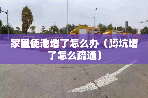 家里便池堵了怎么办（蹲坑堵了怎么疏通）
