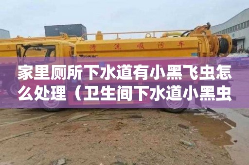 家里厕所下水道有小黑飞虫怎么处理（卫生间下水道小黑虫）