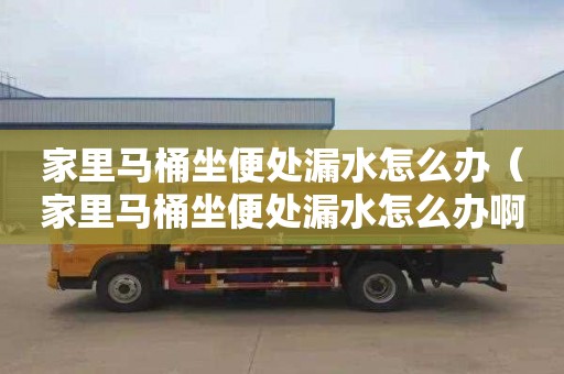 家里马桶坐便处漏水怎么办（家里马桶坐便处漏水怎么办啊）