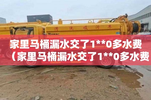家里马桶漏水交了1**0多水费（家里马桶漏水交了1**0多水费怎么办）