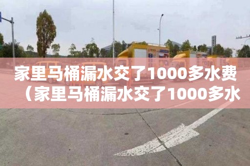 家里马桶漏水交了1000多水费（家里马桶漏水交了1000多水费怎么办）