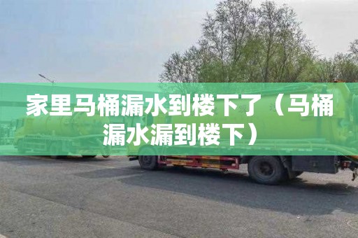家里马桶漏水到楼下了（马桶漏水漏到楼下）