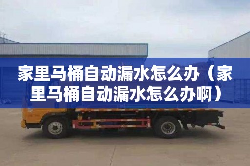 家里马桶自动漏水怎么办（家里马桶自动漏水怎么办啊）