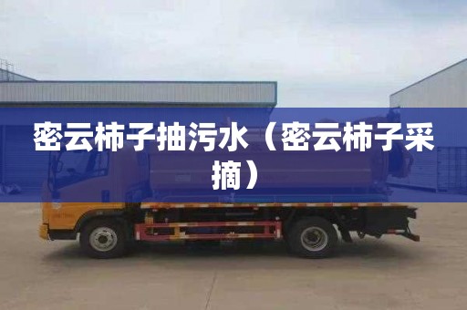 密云柿子抽污水（密云柿子采摘）