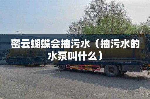 密云蝴蝶会抽污水（抽污水的水泵叫什么）