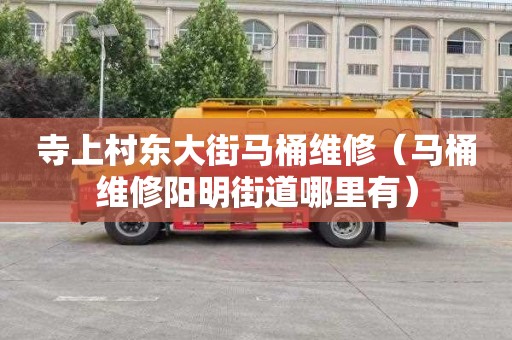 寺上村东大街马桶维修（马桶维修阳明街道哪里有）