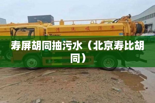 寿屏胡同抽污水（北京寿比胡同）