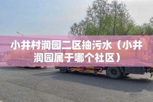 小井村润园二区抽污水（小井润园属于哪个社区）